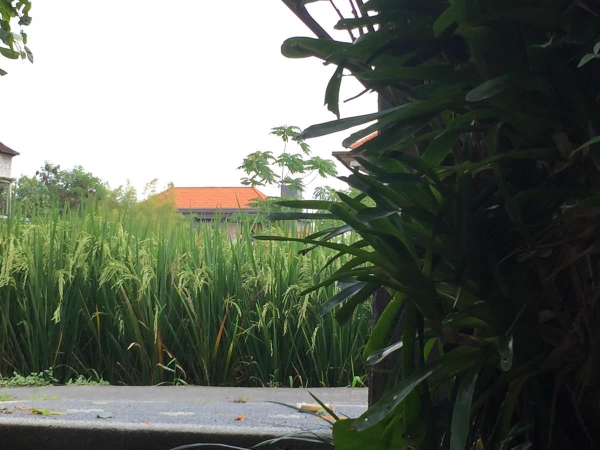 Depong House Ubud Exterior foto